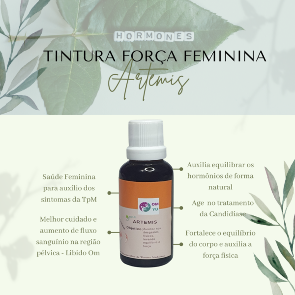 Tintura e Blend Herbal - Image 6