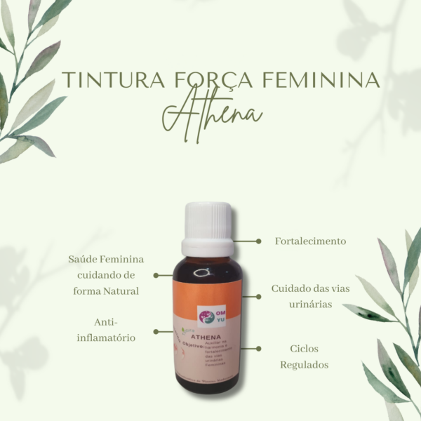 Tintura e Blend Herbal - Image 11